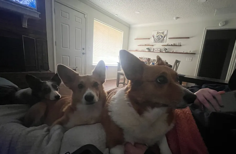 movie night, apparently