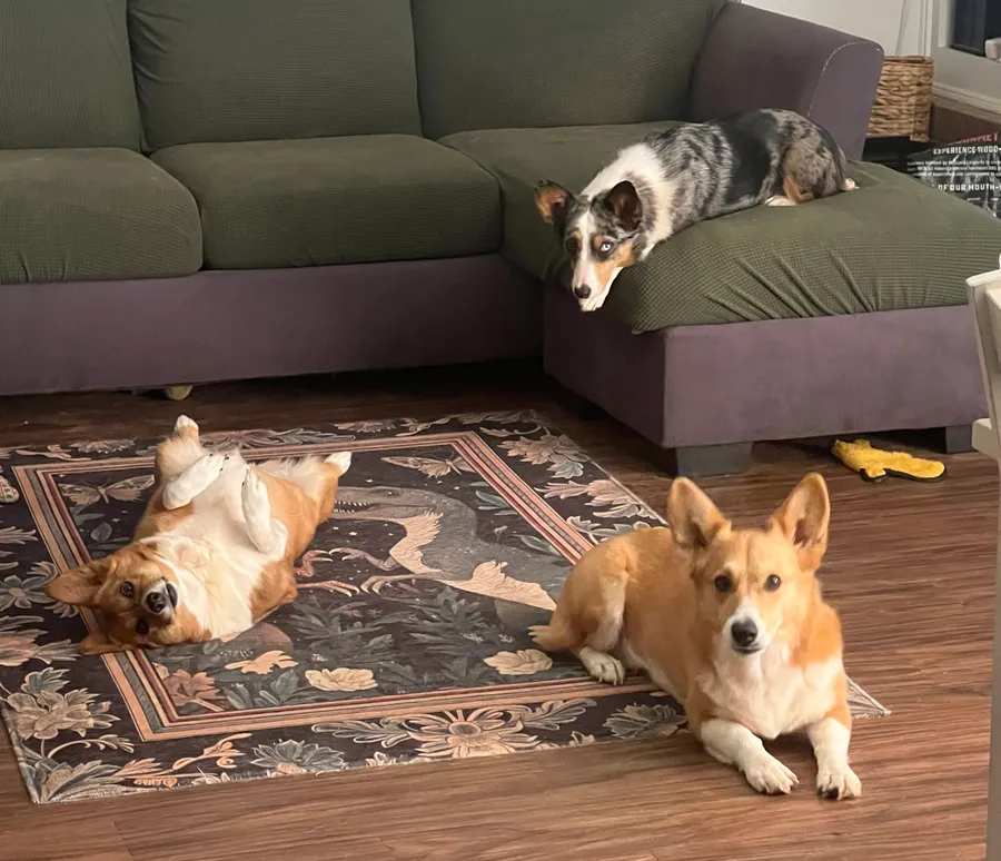 one is always upside down